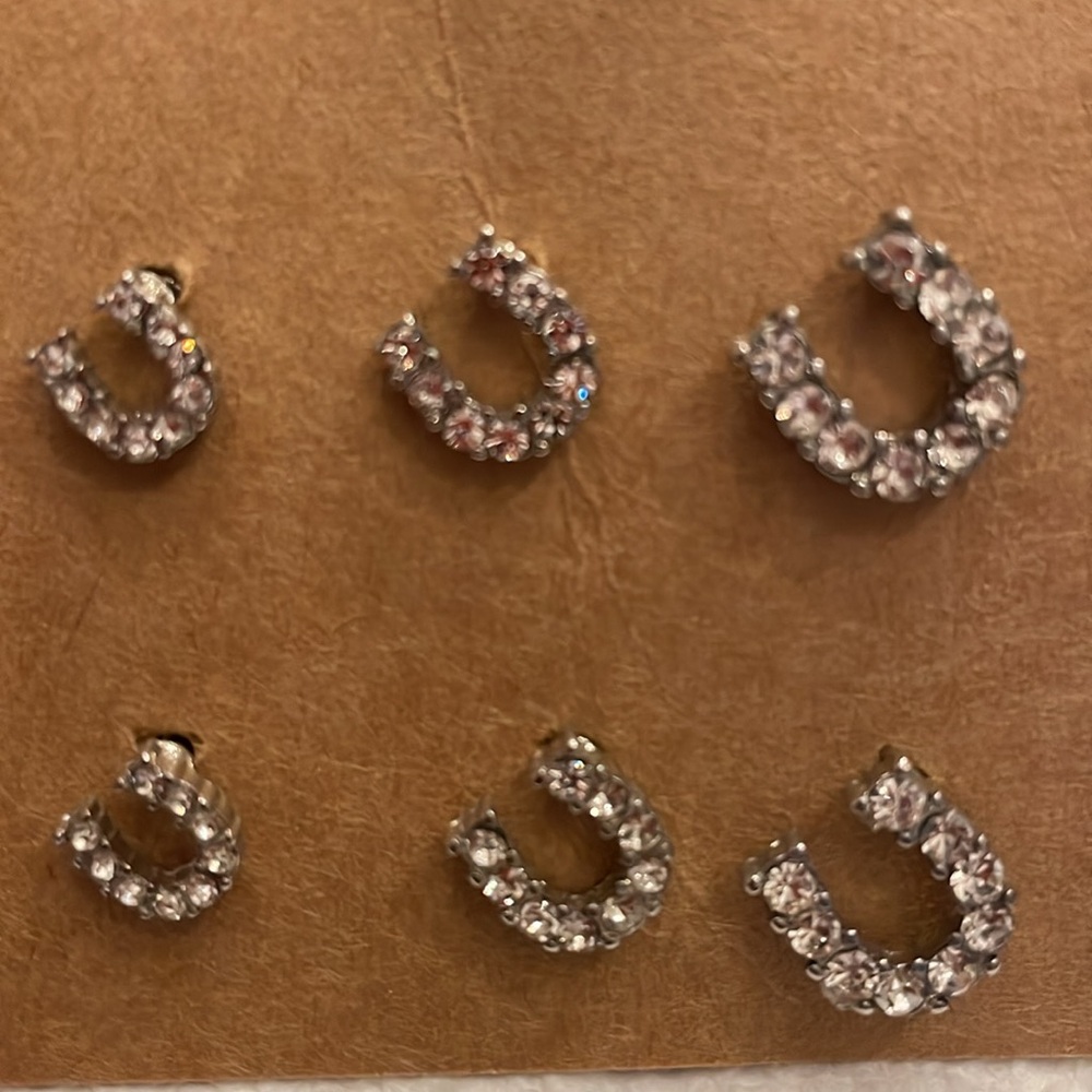 Fun Fashion Horseshoe earring’s .